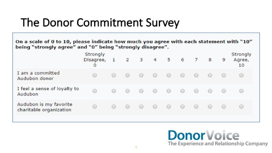 Donor voice survey example