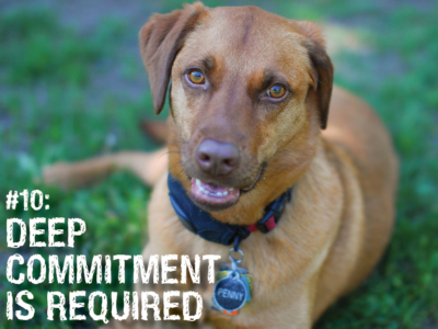 #10: Deep Commitment Is Required