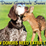 New donors need extra T.L.C.