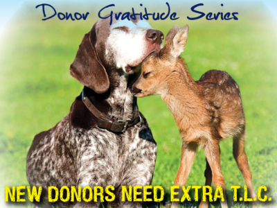 New donors need extra T.L.C.